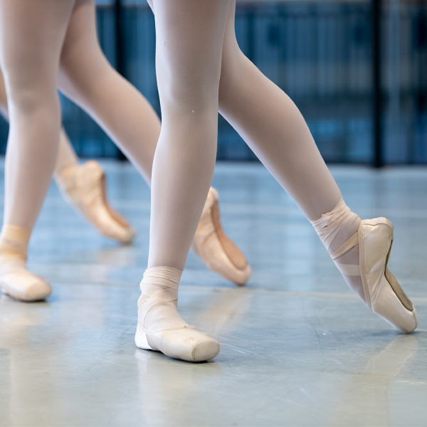 PrePro and Trainee Variations Showcase