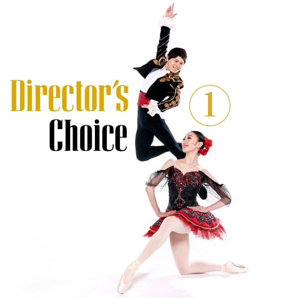 Studio Series: Director’s Choice 1