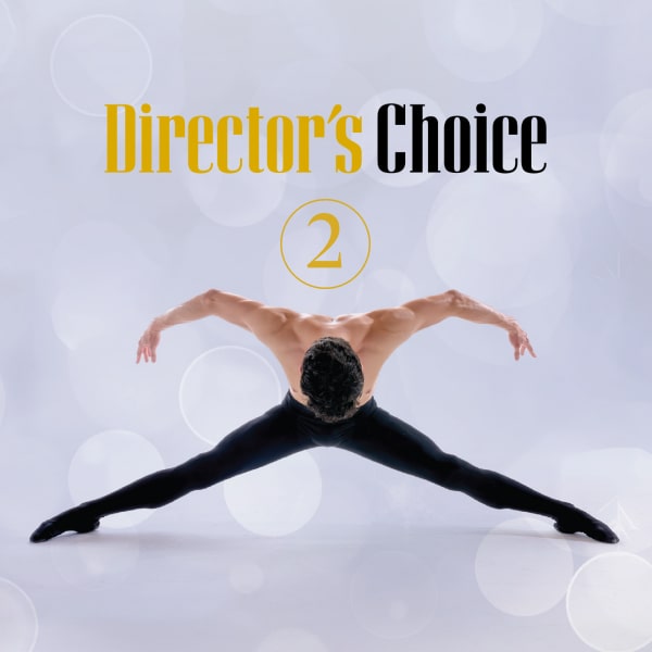 Studio Series: Director’s Choice 2